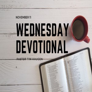 Wednesday Devotional // 11-11-20 // Pastor Tim Haugen