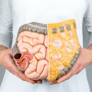 EP 03 Gut obstruction “basic principles”