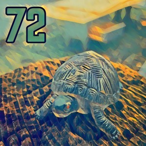 The IseeRobots Stuck At Home Show Ep.72: Turtle Power