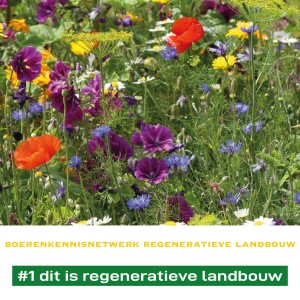 #1 Dit is regeneratieve landbouw