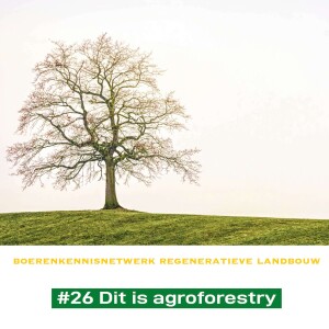 #26 Dit is agroforestry