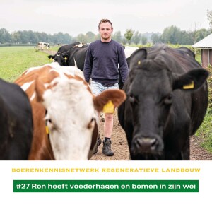 #27 Ron heeft voederhagen en bomen in zijn wei