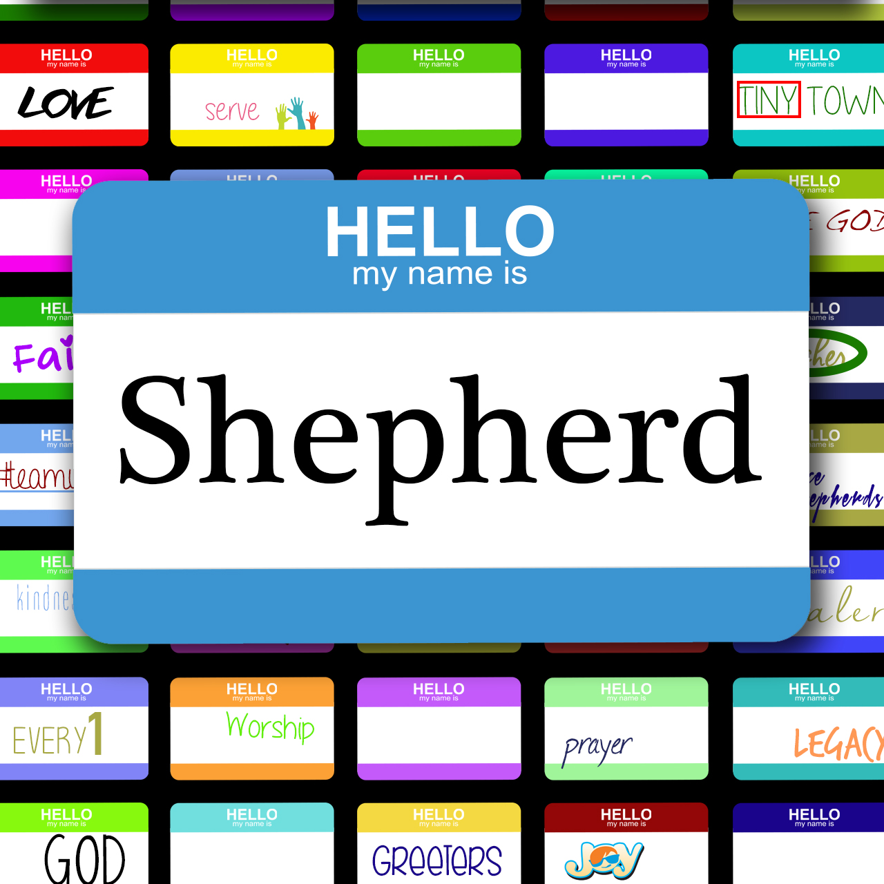 11.10.14 // Hello My Name Is Shepherd