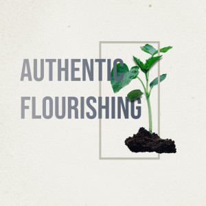 Authentic Flourishing | Weekly Follow-Up Podcast | Part 4 | What's In Your Box?