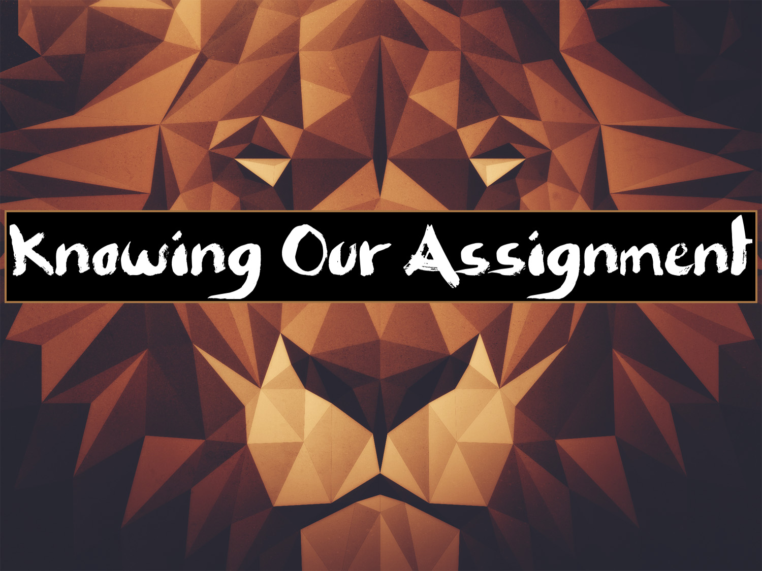 “Knowing our Assignment” 11-17-19