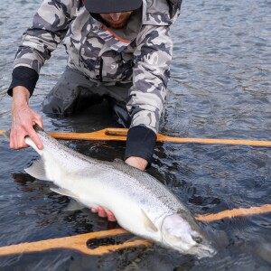 Winter Steelhead Hiking & Catching Fish In Remote Places With Andrew Schnell