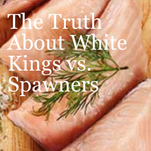 The TRUTH About ”White Kings” vs. Spawner Chinook