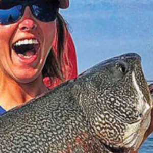 How Lake Trout, Steelhead, Coho & Chinook Follow Trolled Lures