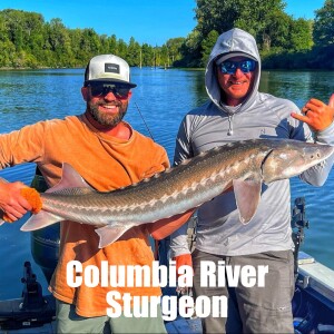 Cliff Sallee - Columbia River Sturgeon (We Are SPOILED Here w/ Sturgeon Fishing)