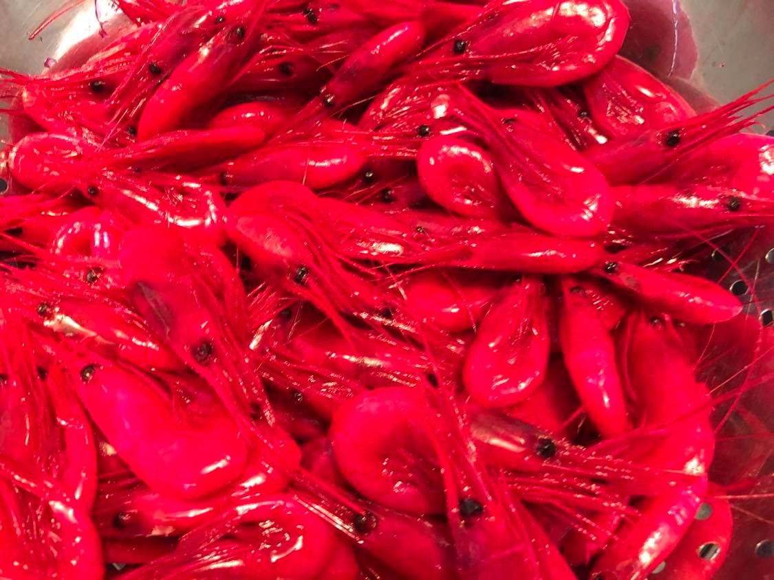 Washington Coon Shrimp with Landon Connorton - Summer Sockeye & Steelhead