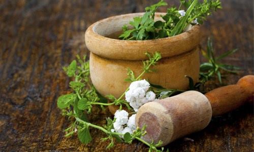 curso de naturopatia