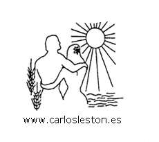 reflexologia podal