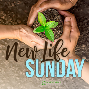 Worship - New Life Sunday