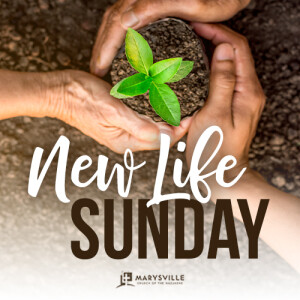 New Life Sunday