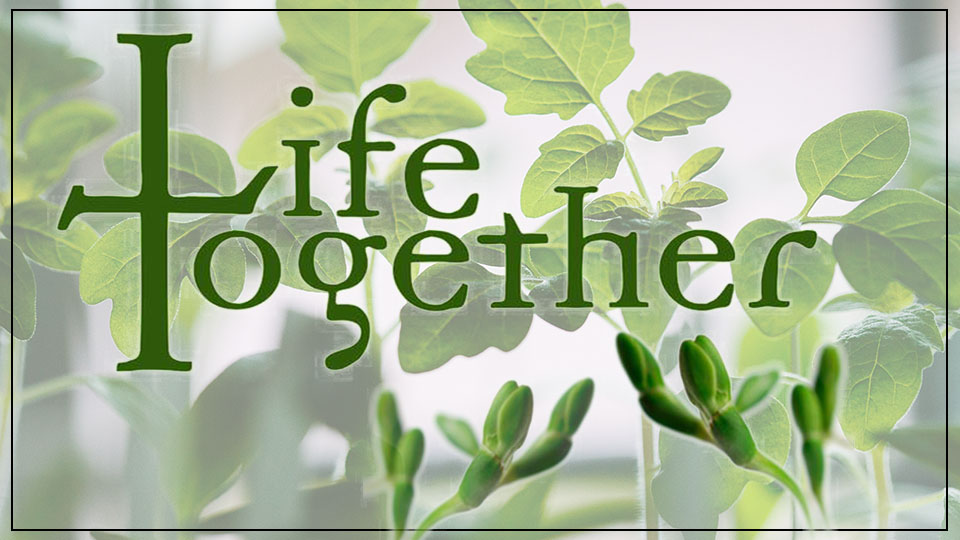 Life Together, pt. 3