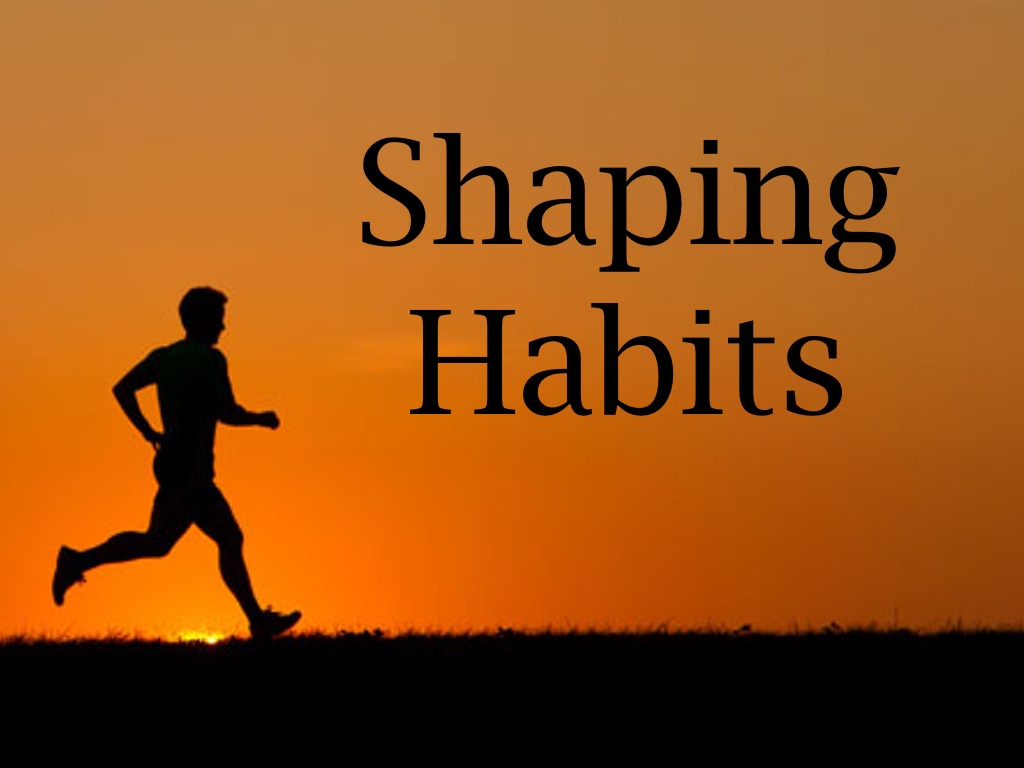 Shaping Habits, pt. 2