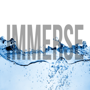 Immerse Recap