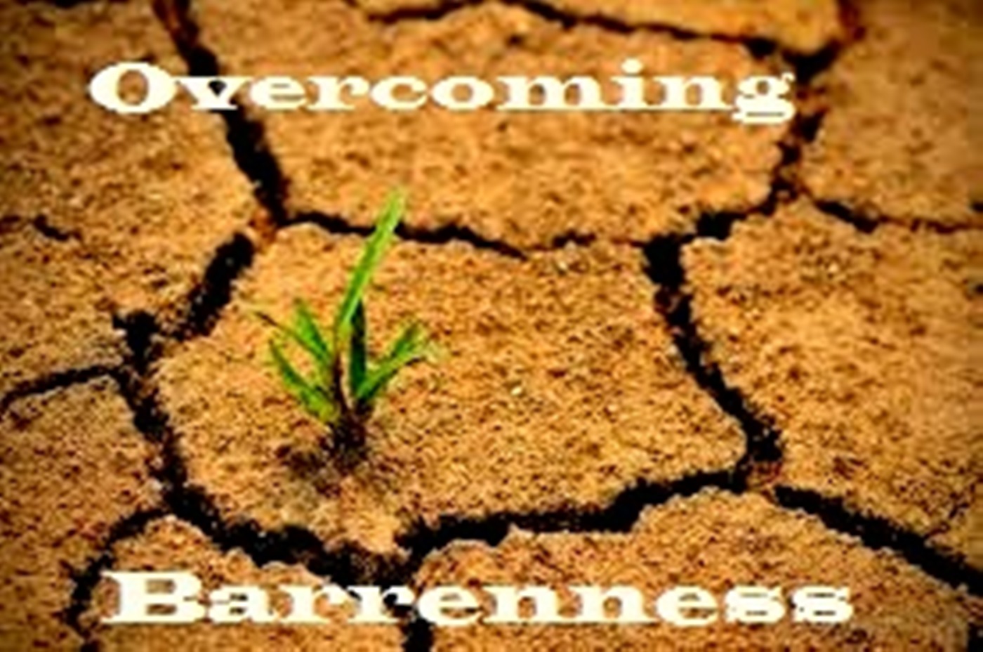 Overcoming Barrenness