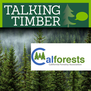 Steve Brink, Vice President, Public Relations at the California Forestry Association