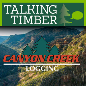 Tom Holl, Canyon Creek Logging