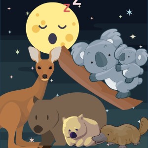 [Childrens Sleep Story] Goodnight Sugarloaf Bush Babies