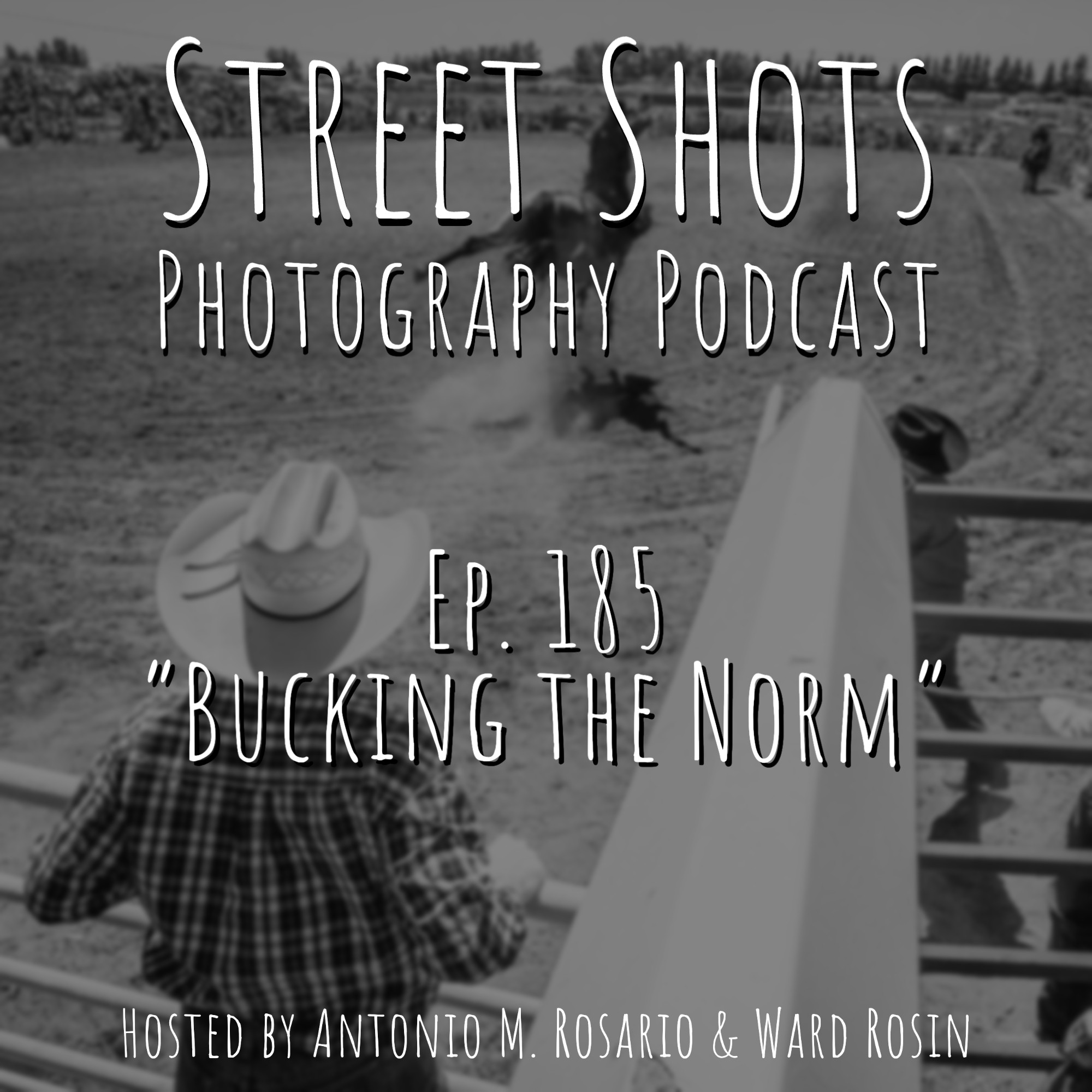 cover of episode Bucking the Norm