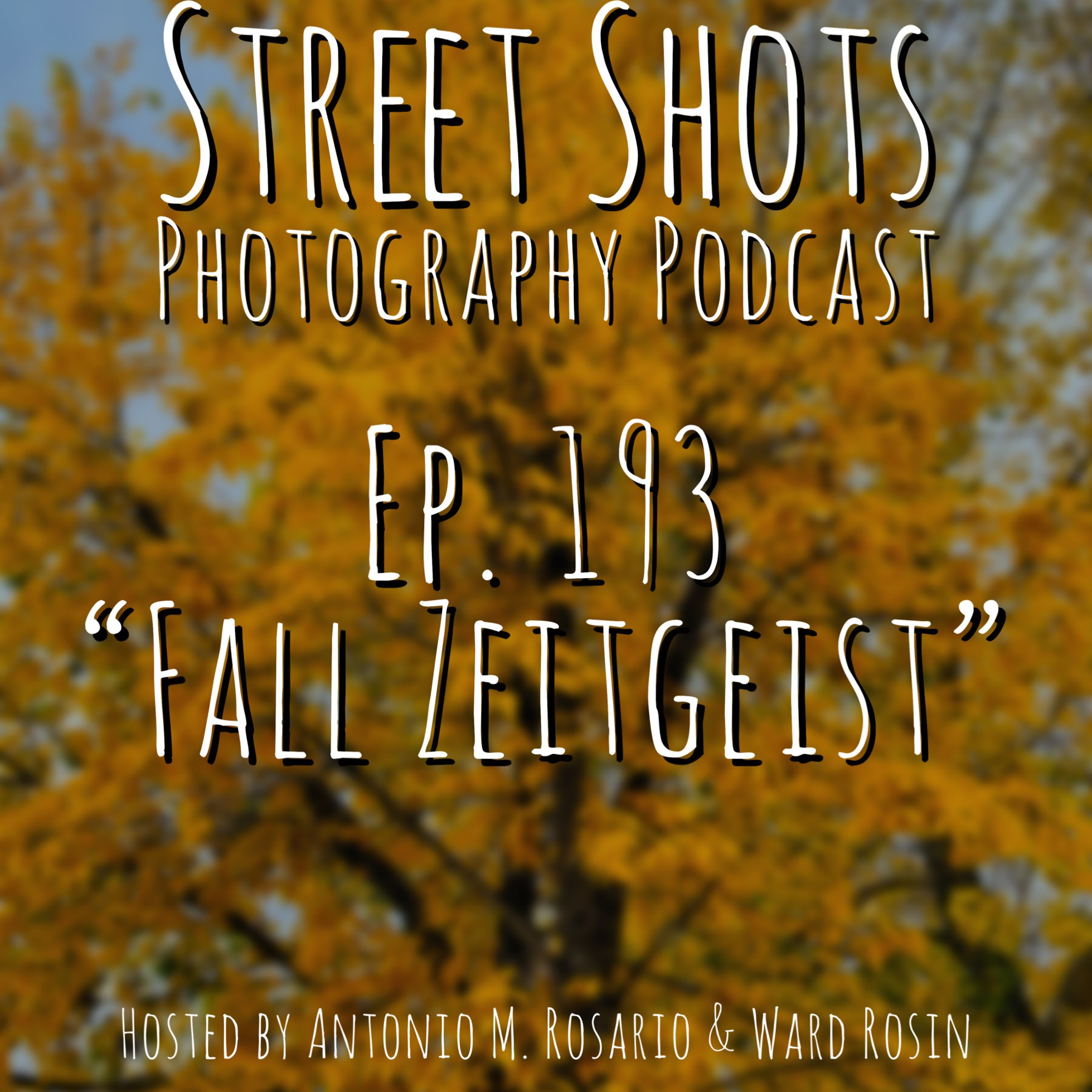 cover of episode Fall Zeitgeist