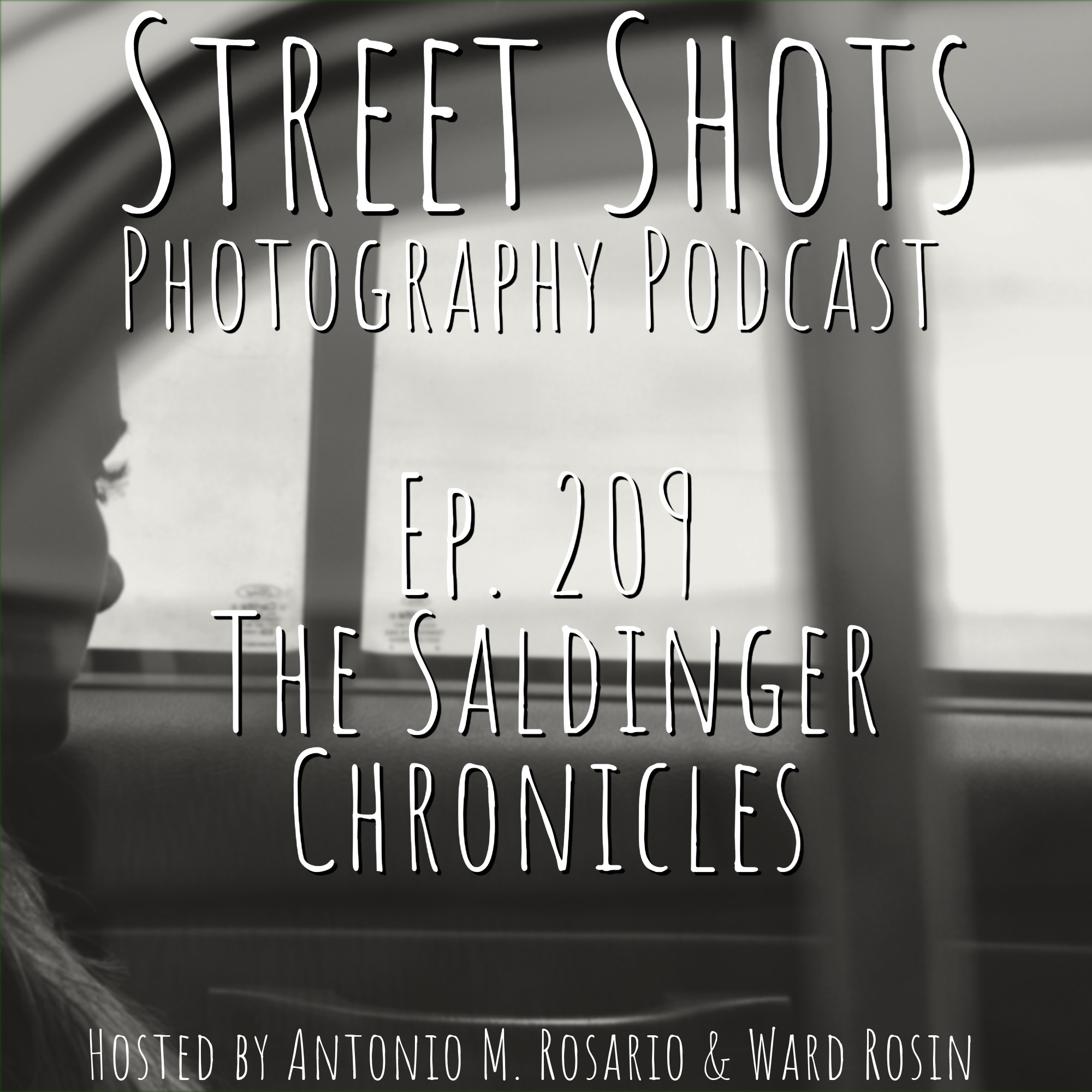 cover of episode The Saldinger Chronicles