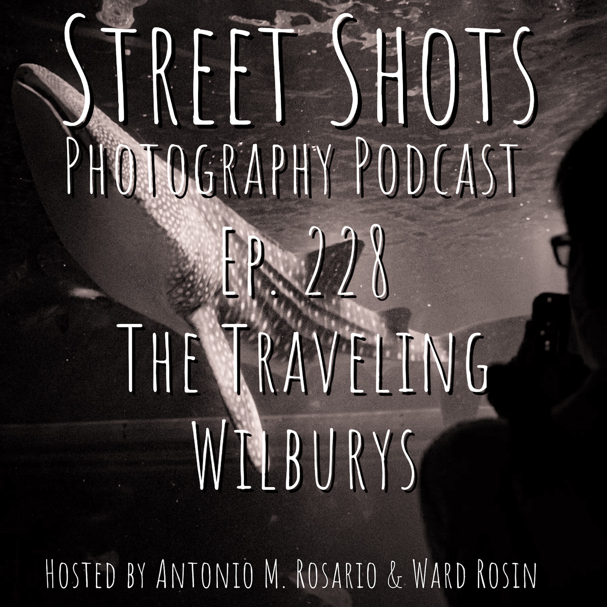 cover of episode The Traveling Wilburys