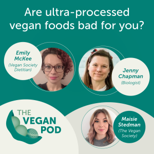 Are ultra-processed vegan foods bad for you?