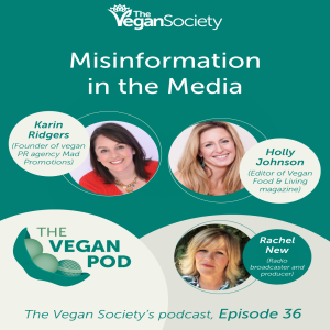 Misinformation In The Media