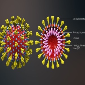 Episode 7 - Coronavirus - how serious is it and what should I be doing? By Dr. Maureen Nemetski, with Dr. Ellie Carmody