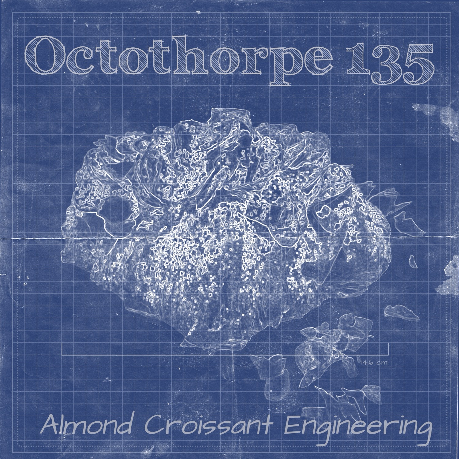 Octothorpe