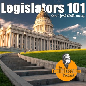 Don’t just vote and walk away: Legislators 101