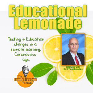 Educational Lemonade: Possibilities and Priorities
