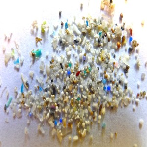 Swimming in a soup of microplastic