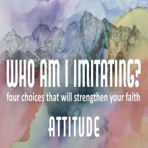 Who am I Imitating? / Attitude