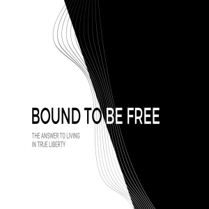 Bound to be Free | Adopted