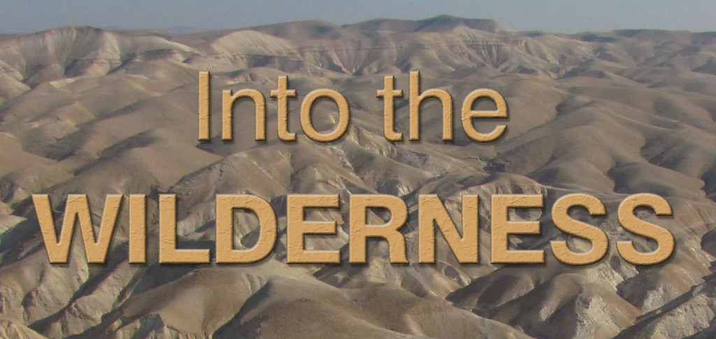 Into the Wilderness: A Lesson In Faithfulness “The Pillars of Cloud and Fire - God Leads”