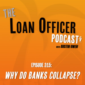 Episode 315: Why Do Banks Collapse?