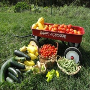 EP53 Asotin County WSU Master Gardeners