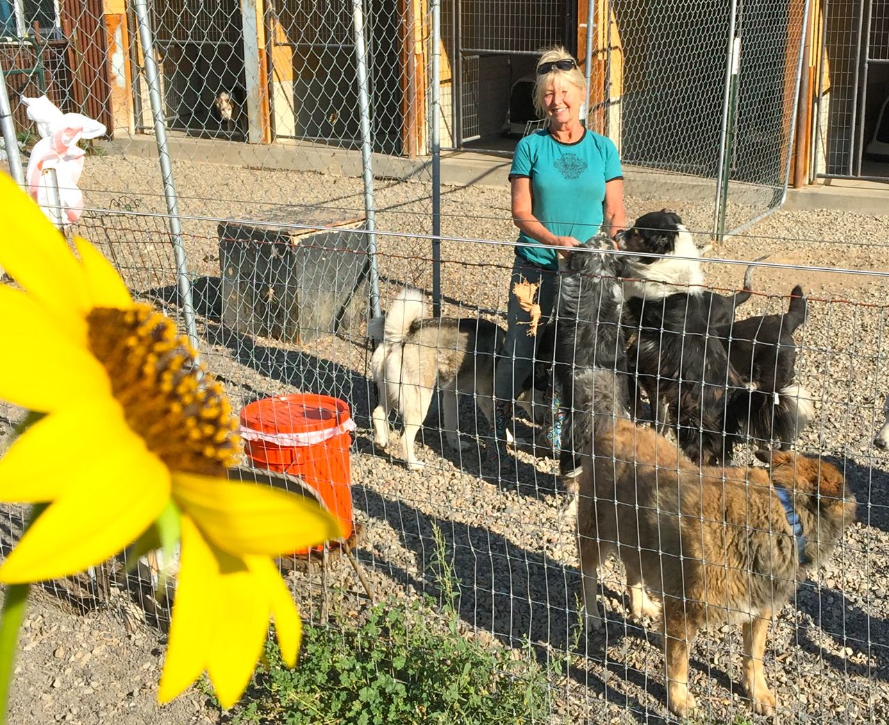 Black Canyon Animal Rescue – Debbie Faulkner’s Passion for Pets!