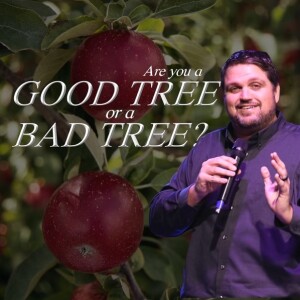 Are You A Good Tree Or A Bad Tree?