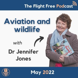 2022 series: Aviation and wildlife