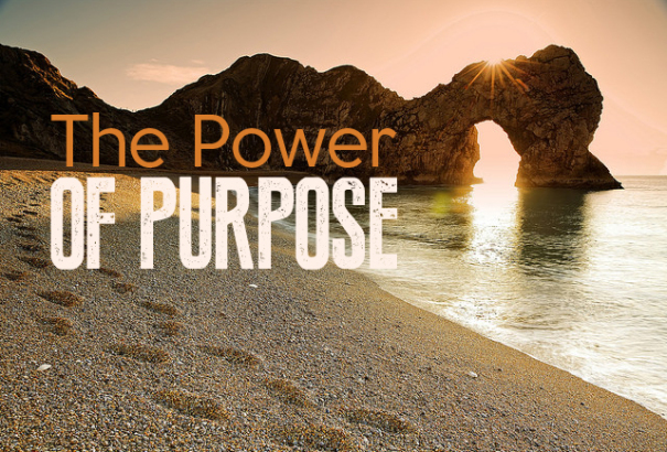 The Power of Purpose: Making Strategic Investments