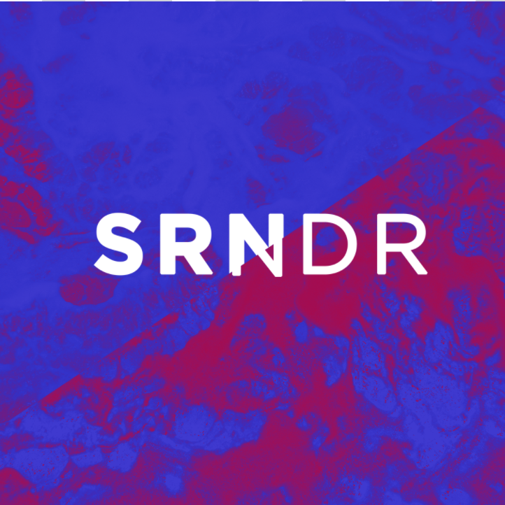 SRNDR, Part 3 - Pastor Carey Robinson