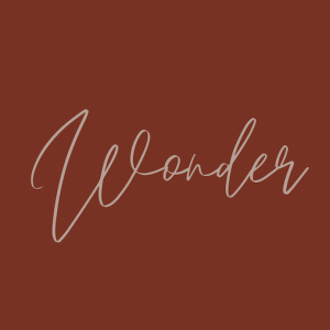 Wonder, Part 2 - Pastor Carey Robinson