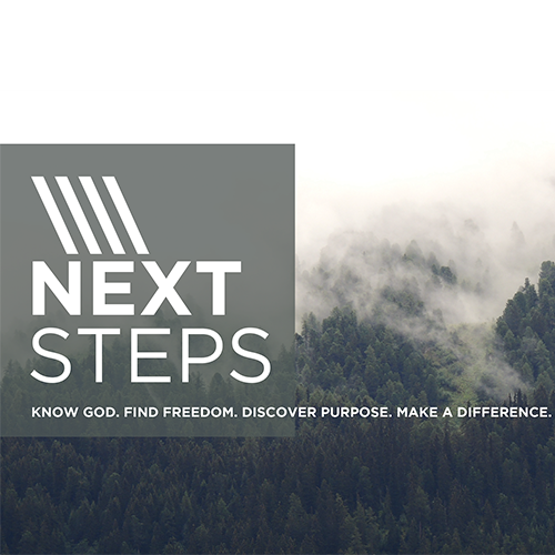 Next Steps, Part 2 - Pastor Carey Robinson
