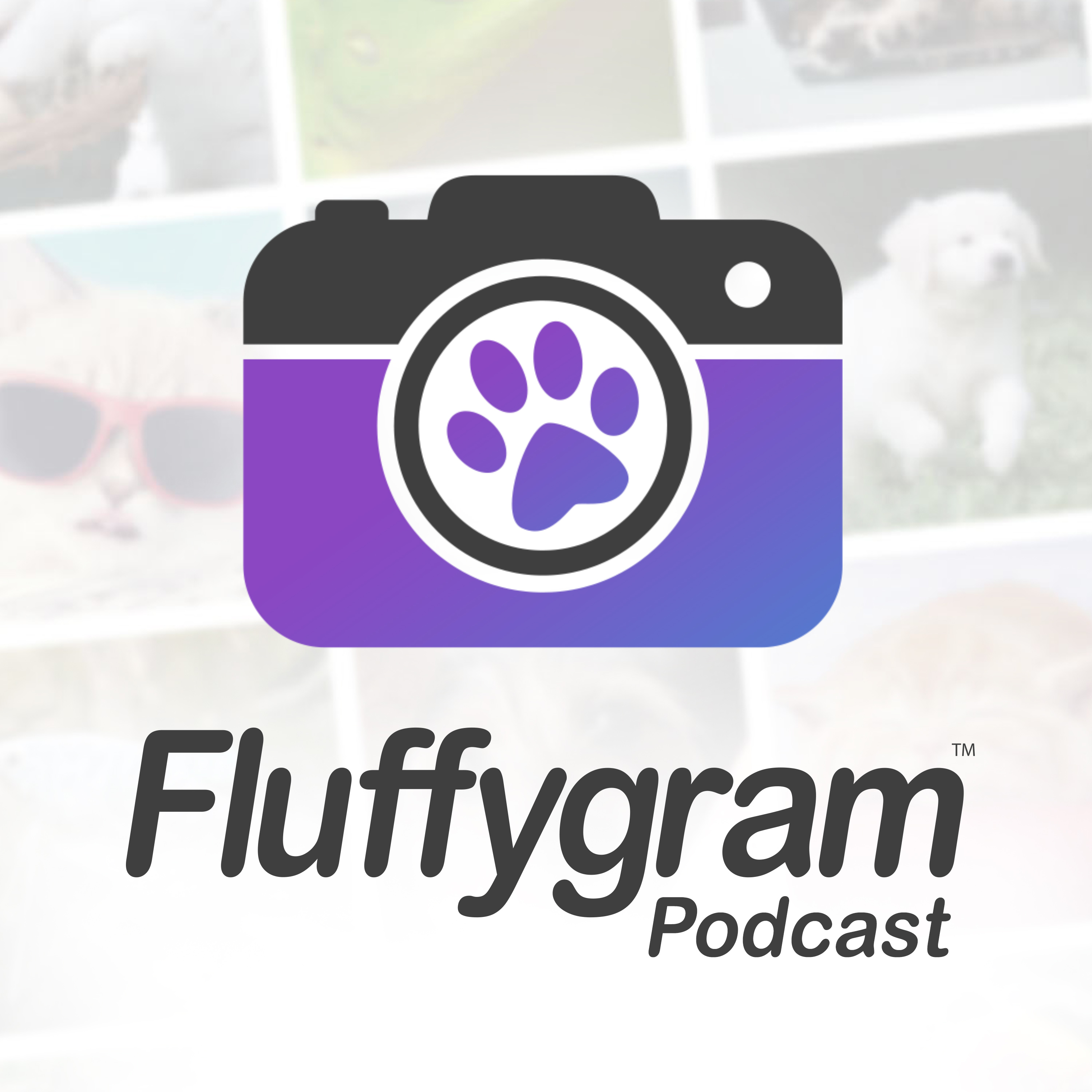 Fluffygram Podcast - Live with Kathryn Davis