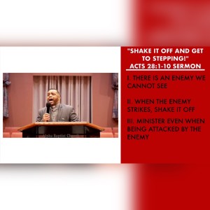 3.20.22 | ”Shake It Off and Get To Stepping” | Acts 28:1-10 | Pastor Danny Scotton, Sr.